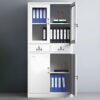 2-Door Metallic Office Cabinet
