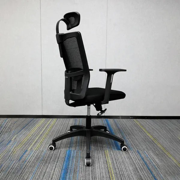 Orthopedic Executive Office Chair - Image 5