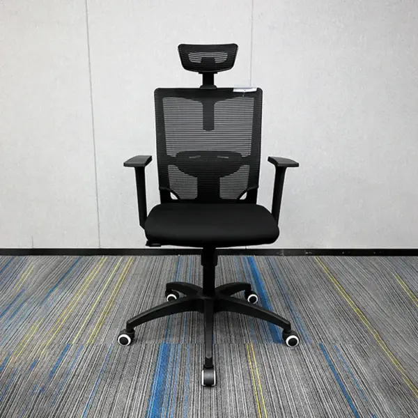 Orthopedic Executive Office Chair - Image 4