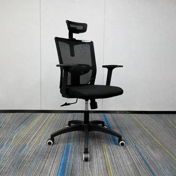 Orthopedic Executive Office Chair