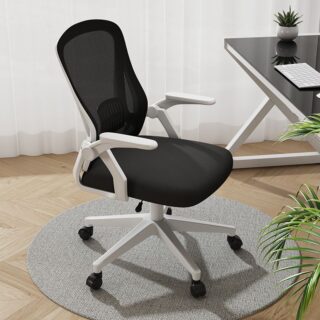 Ergonomic office chair with adjustable lumbar support, mesh backrest, and padded seat cushion."