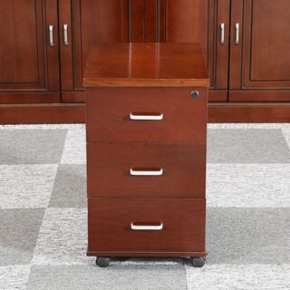 Office filing/storage cabinets in various styles and finishes, showcasing secure locking drawers and adjustable shelves for efficient document organization."