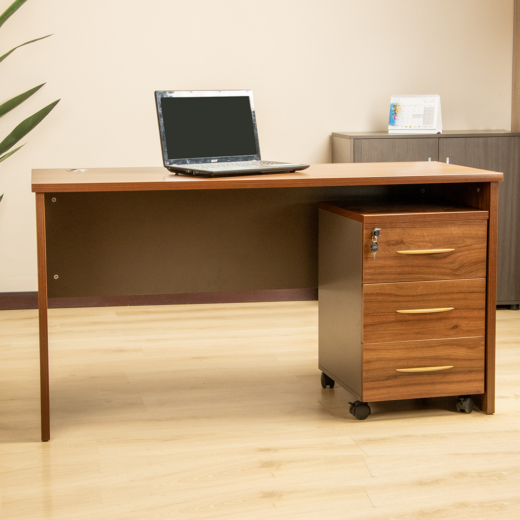 1200mm Executive Office Desk with a sleek design, spacious work surface, and built-in storage for a professional and organized workspace.